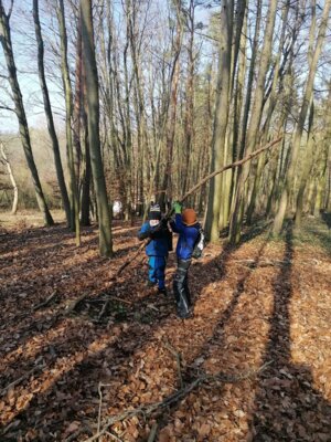 Foto des Albums: Im Wald gibt es viel zu entdecken