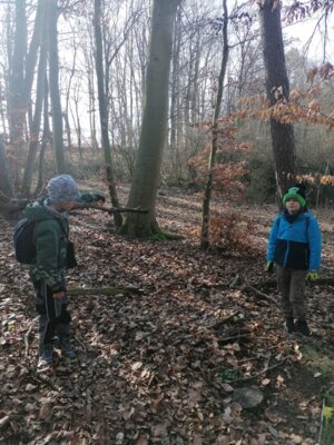 Foto des Albums: Im Wald gibt es viel zu entdecken