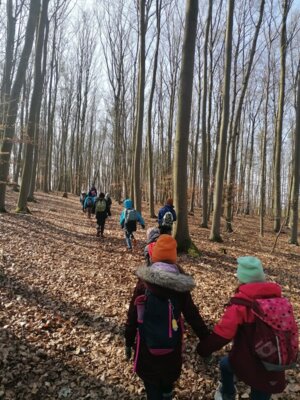 Foto des Albums: Im Wald gibt es viel zu entdecken