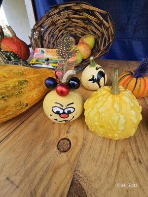Foto des Albums: Gartenfest Hohenmölsen