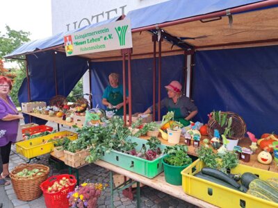 Foto des Albums: Gartenfest Hohenmölsen