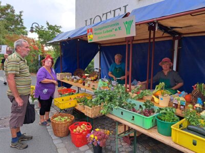 Foto des Albums: Gartenfest Hohenmölsen
