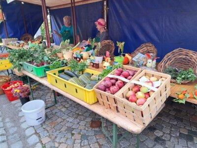 Foto des Albums: Gartenfest Hohenmölsen