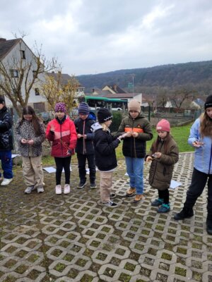 Foto des Albums: Volle Peilung