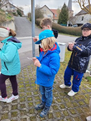 Foto des Albums: Volle Peilung