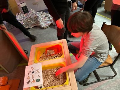 Foto des Albums: Erlebnistag 2024