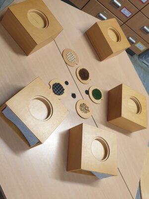 Foto des Albums: Erlebnistag 2024