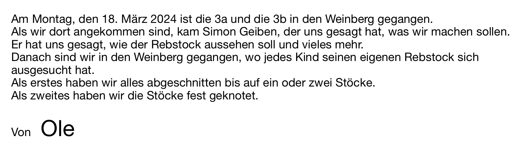 Bild der Galerie
