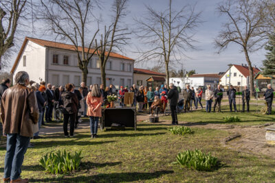 Foto des Albums: Stolpersteinverlegung für Pfarrer Friedrich Rumpf in Schwante (15. 03. 2024)