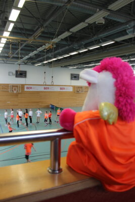 Foto des Albums: Abwurfballturnier Mädchen 2024