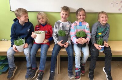 Foto des Albums: Ostergärtchen Klasse 1d (21.03.2024)