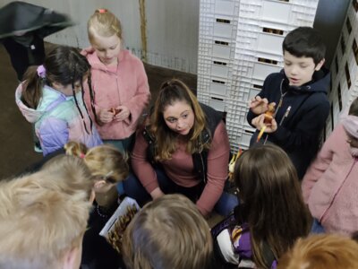 Foto des Albums: Klasse 1c besucht die Gärtnerei Bordat (22.03.2024)