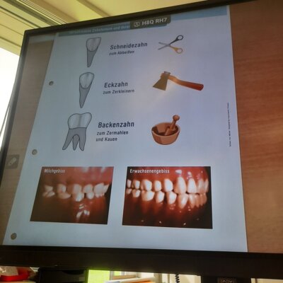 Foto des Albums: Besuch von Dentolus