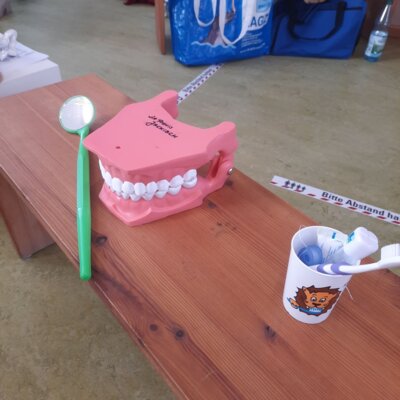 Foto des Albums: Besuch von Dentolus