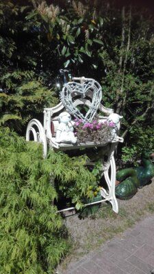 Foto des Albums: Bilder der Pension