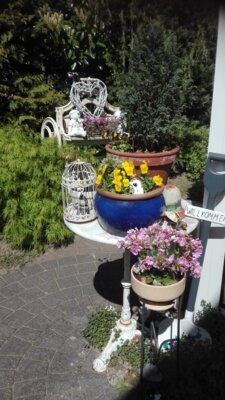 Foto des Albums: Bilder der Pension
