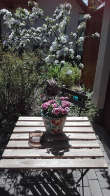 Foto des Albums: Bilder der Pension
