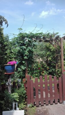 Foto des Albums: Bilder der Pension