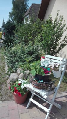 Foto des Albums: Bilder der Pension