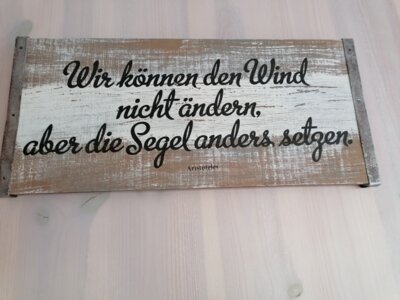 Foto des Albums: Bilder der Pension