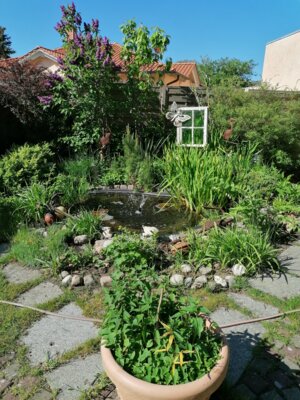 Foto des Albums: Bilder der Pension