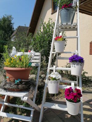 Foto des Albums: Bilder der Pension