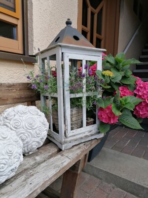 Foto des Albums: Bilder der Pension