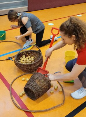 Foto des Albums: Sportfest
