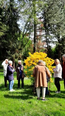 Foto des Albums: Gemeinsamer Spaziergang