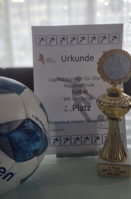 Foto des Albums: Regionalfinale Fußball