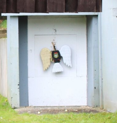 Foto des Albums: Damenvogelschießen 2024