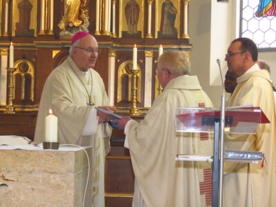 IMG 0499  (Bild vergr&ouml;&szlig;ern)