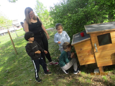Foto des Albums: Besuch von 3 Hühneren