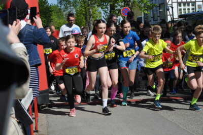 Foto des Albums: Lychener Seenlauf