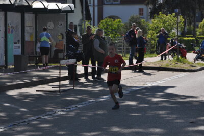 Foto des Albums: Lychener Seenlauf