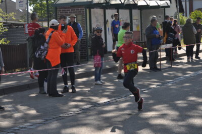 Foto des Albums: Lychener Seenlauf