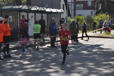 Foto des Albums: Lychener Seenlauf (27.​04.​2024)