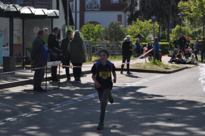 Foto des Albums: Lychener Seenlauf