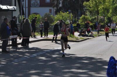 Foto des Albums: Lychener Seenlauf