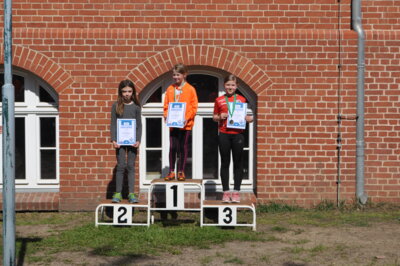 Foto des Albums: Lychener Seenlauf
