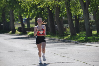 Foto des Albums: Lychener Seenlauf