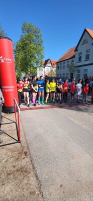 Foto des Albums: Lychener Seenlauf