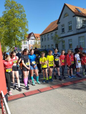 Foto des Albums: Lychener Seenlauf