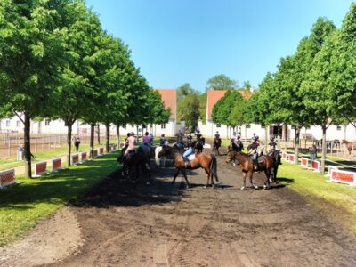 Fotoalbum Fohlenfrühling 2024