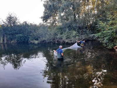 Foto des Albums: Projekt Angeln