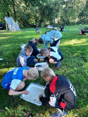 Foto des Albums: Projekt Angeln