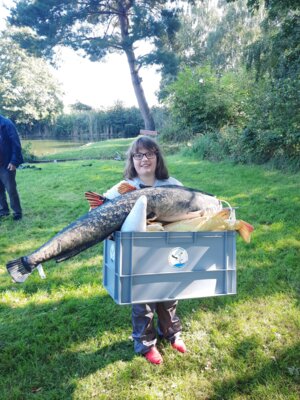 Foto des Albums: Projekt Angeln