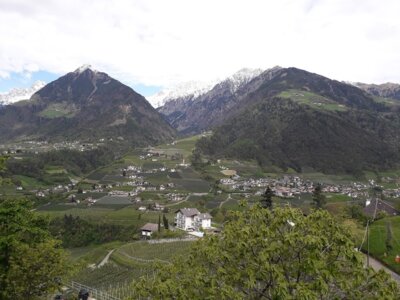 Foto des Albums: Wanderwoche Südtirol - Apfelblüte und Alpengipfel (15.05.2024)