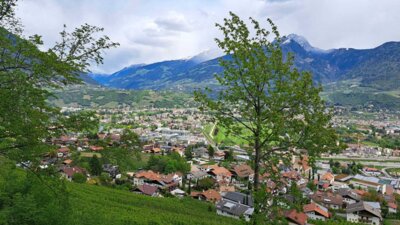 Foto des Albums: Wanderwoche Südtirol - Apfelblüte und Alpengipfel (15.05.2024)