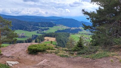 Foto des Albums: Wanderwoche Südtirol - Apfelblüte und Alpengipfel (15.05.2024)